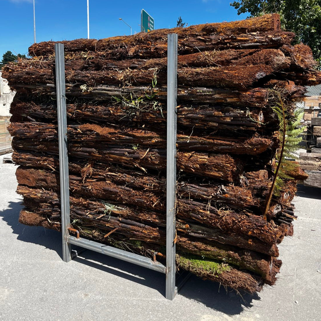 BACK IN STOCK: Punga / Tree Fern Logs (2m)