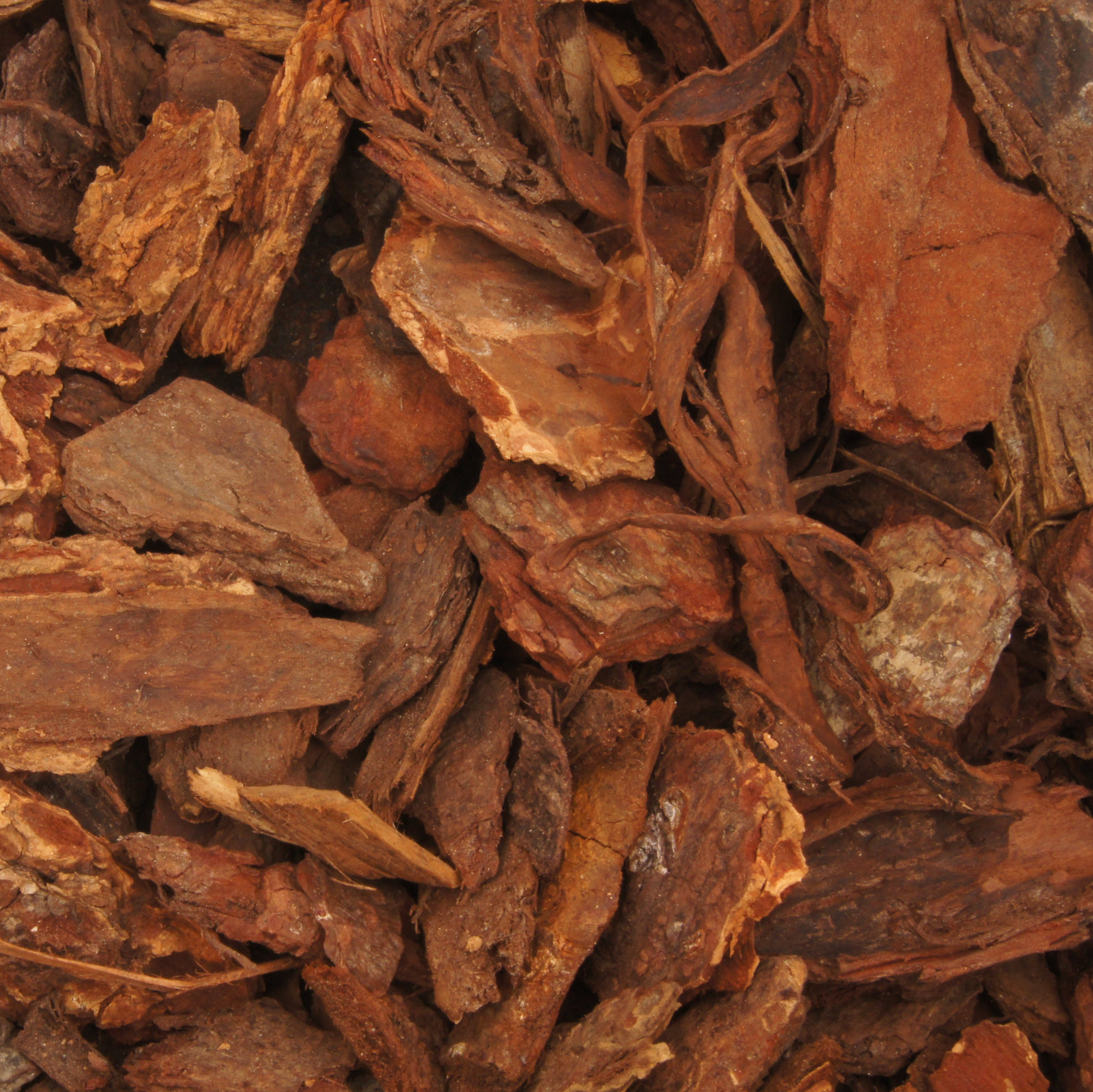 Garden Bark For Sale – Garden Bark And Mulch – FBBLR