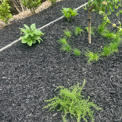 Black Mulch Black Bark