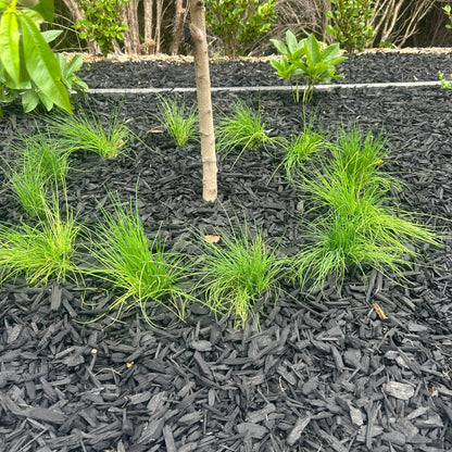 Black Mulch Black Mulch with Green plants