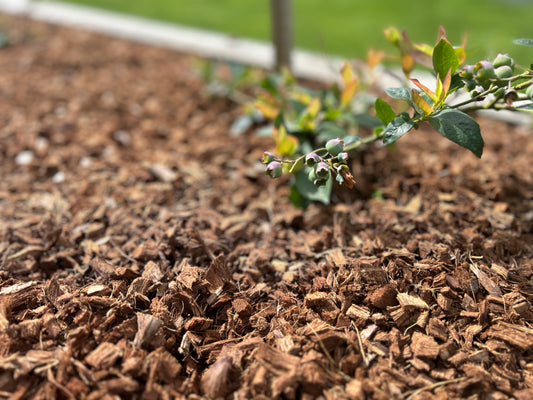 Coir Mulch / CocoChips Compressed 4.5kg (makes 60ltr)