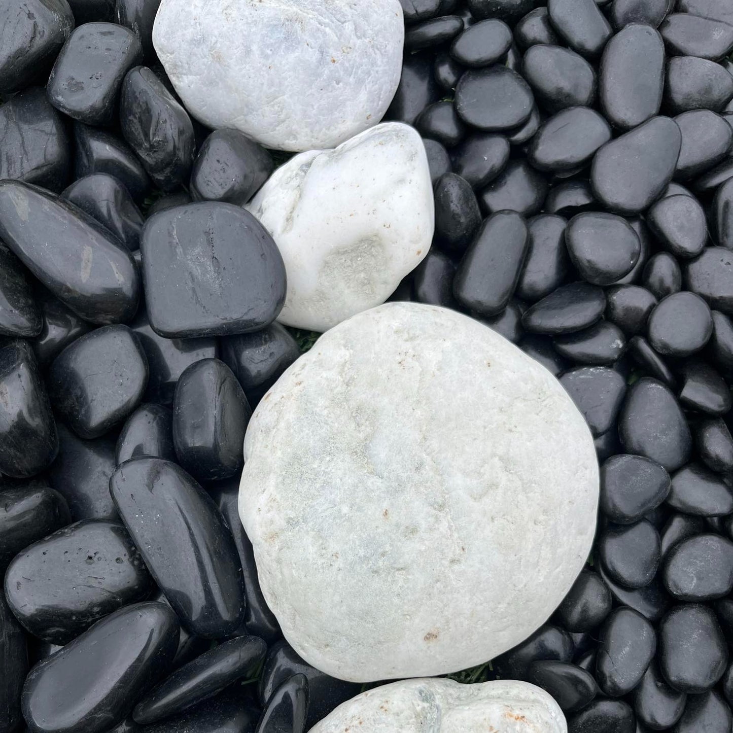 Polished Black Stones Round