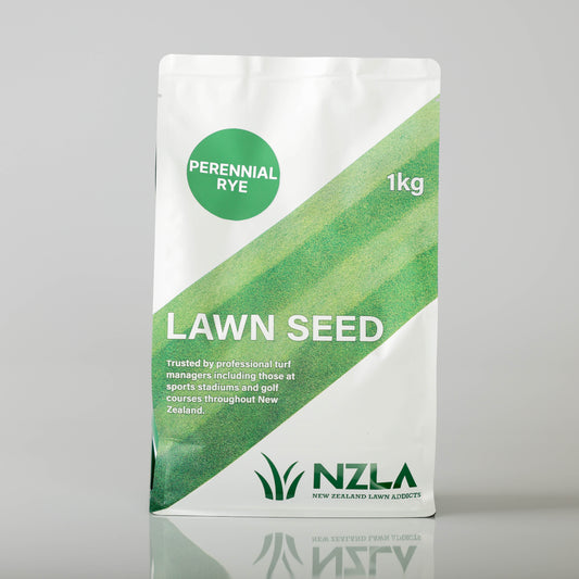 NZLA Perennial Rye (Lawn Seed) - - - [1kg]