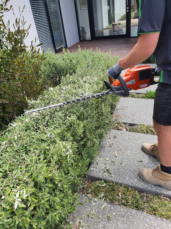 Hedge Trimmer 60cm – pivoting rear handle (Battery) - [Hire]