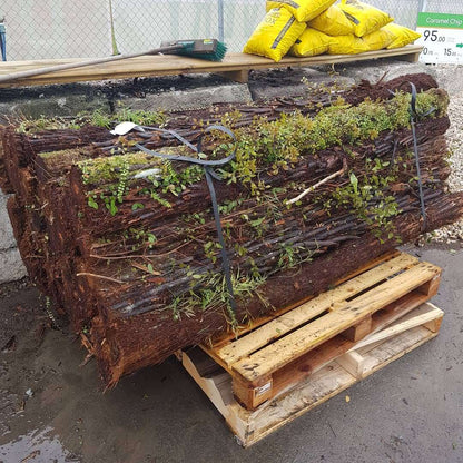 [Premium Quality Garden & Landscape Supplies Online]-Garden Box